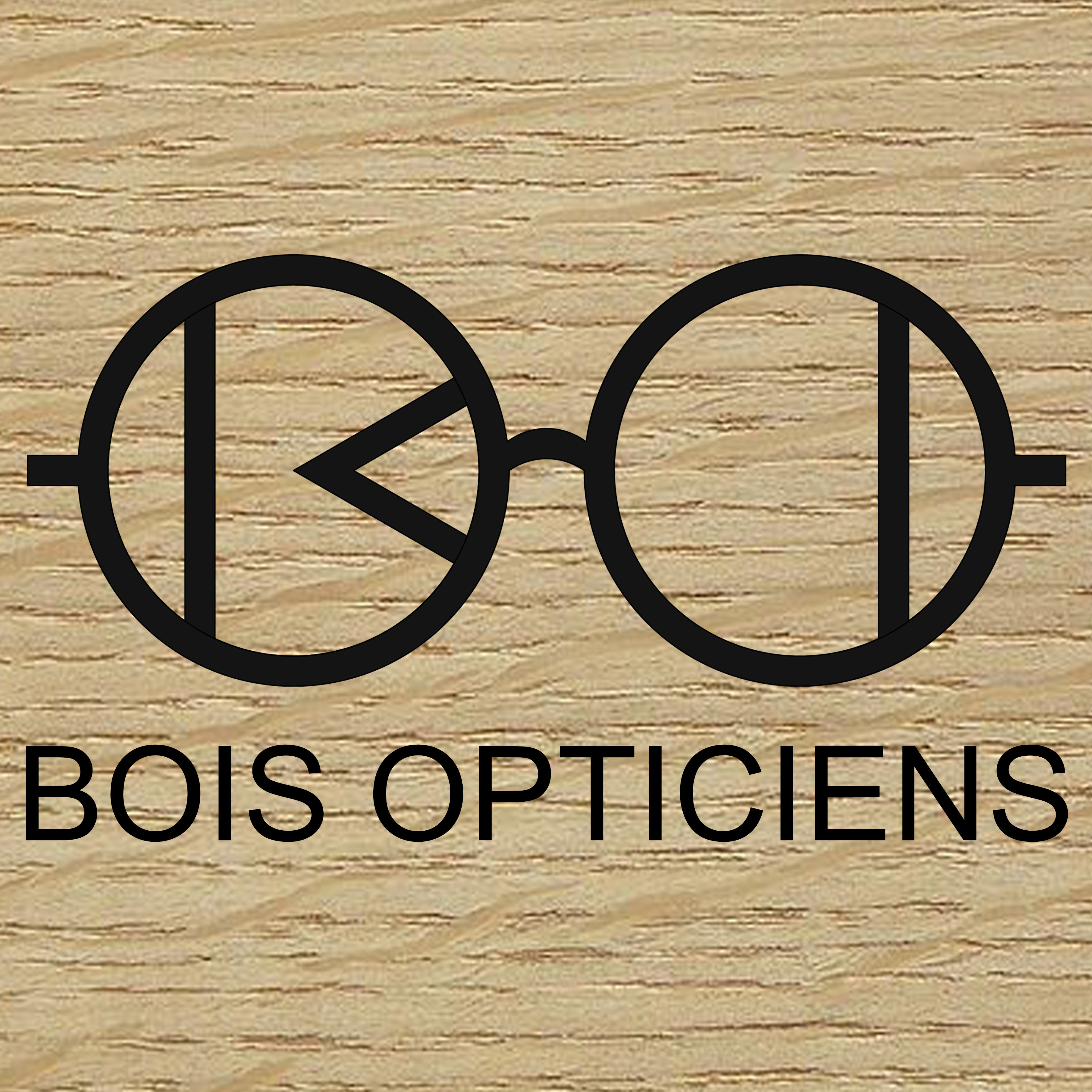 Design du Logo du magasin Bois Opticien à Bons-en-Chablais